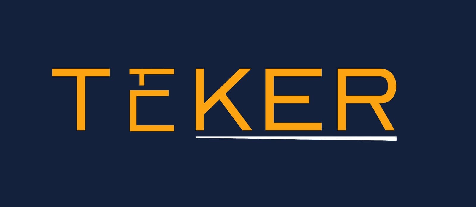 Logo TEKER